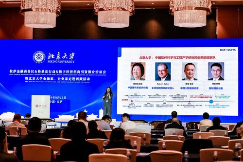 數(shù)字經(jīng)濟(jì)新引擎 2024拉薩金融商務(wù)區(qū)格?；ㄐ袆?dòng)招商引資洽談會(huì)啟航